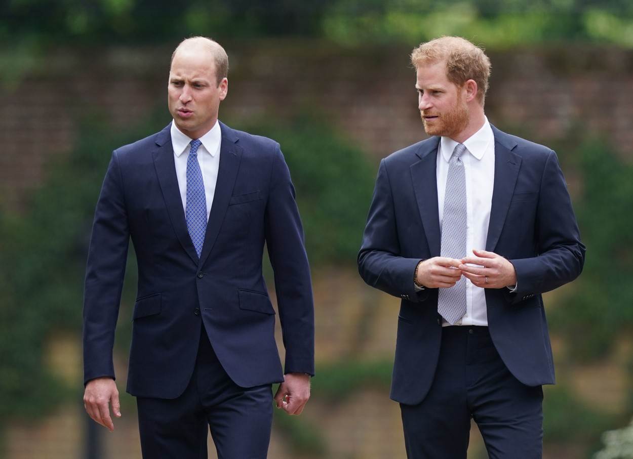  Princ Vilijam i princ Hari imaju problem sa proćelavom kosom. 