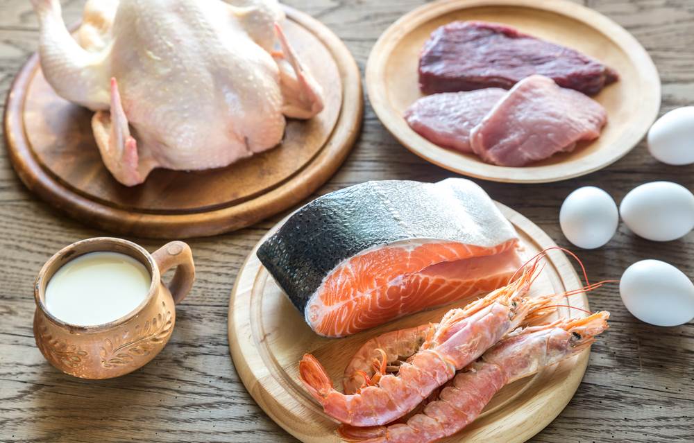  meso i riba se preporučuju na hrono ishrani 