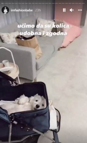  Dunja Jovanić proverava da li kolica odgovaraju njenom psu 