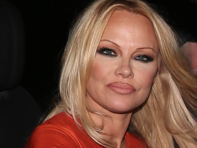  Pamela Anderson otkrila je detalje ljubavnog života u novoj knjizi. 