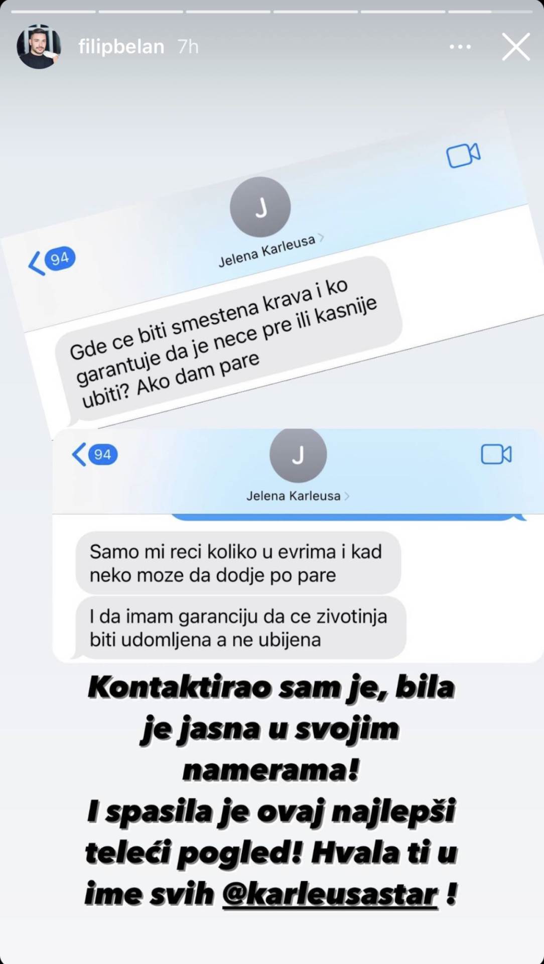  Jedan od korisnika Instagrama otkrio je Karleuša bila ta koja je spasila kravicu Slavicu. 