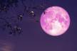 Šta donosi ružičasti Mesec svakom znaku 6 aprila?