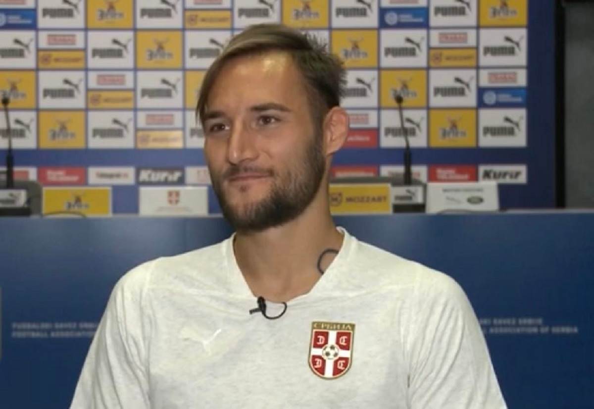 nemanja gudelj