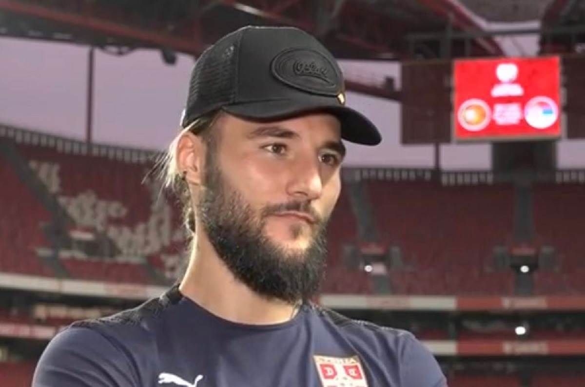 nemanja gudelj