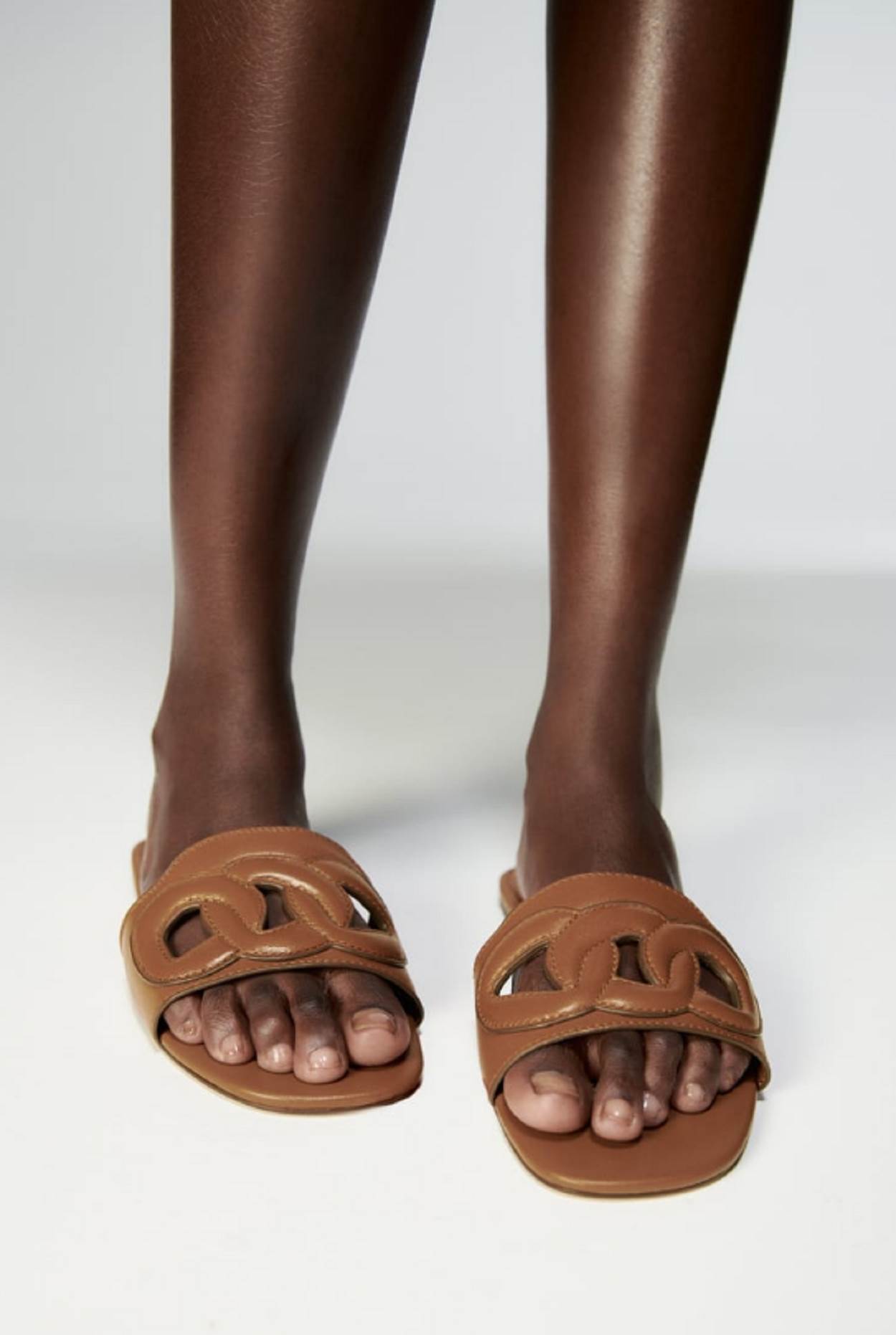 zara pap.PNG