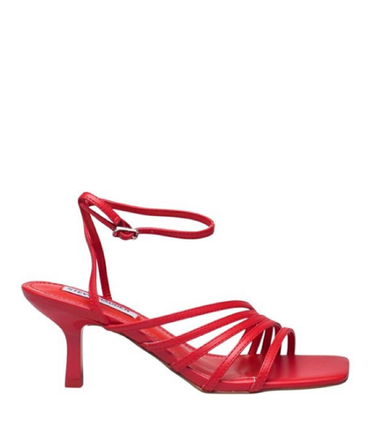 steve madden.PNG