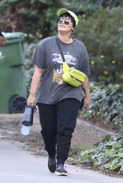 Demi Lovato patila je od poremećaja ishrane.