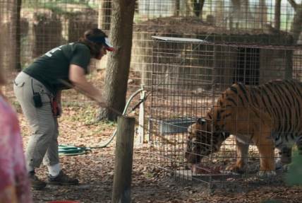 tiger king dokumentarac