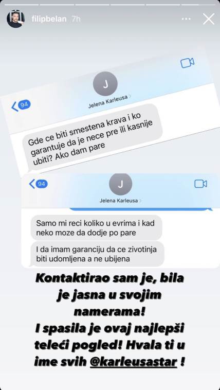 Jedan od korisnika Instagrama otkrio je Karleuša bila ta koja je spasila kravicu Slavicu.