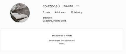 Hari Stajls ima tajni Instagram profil.