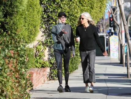 Melani Grifit snimljena u šetnji, krije ožiljak na licu i ruke