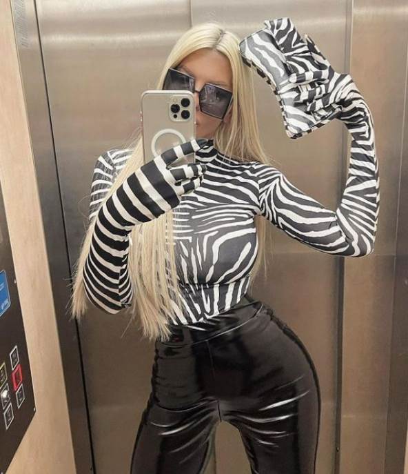 jelena karleusa nosi zebrast print