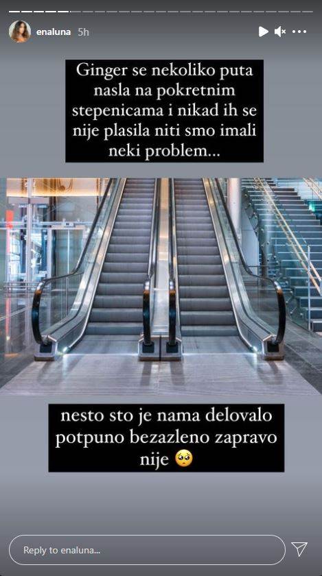 ena luna stori o psu