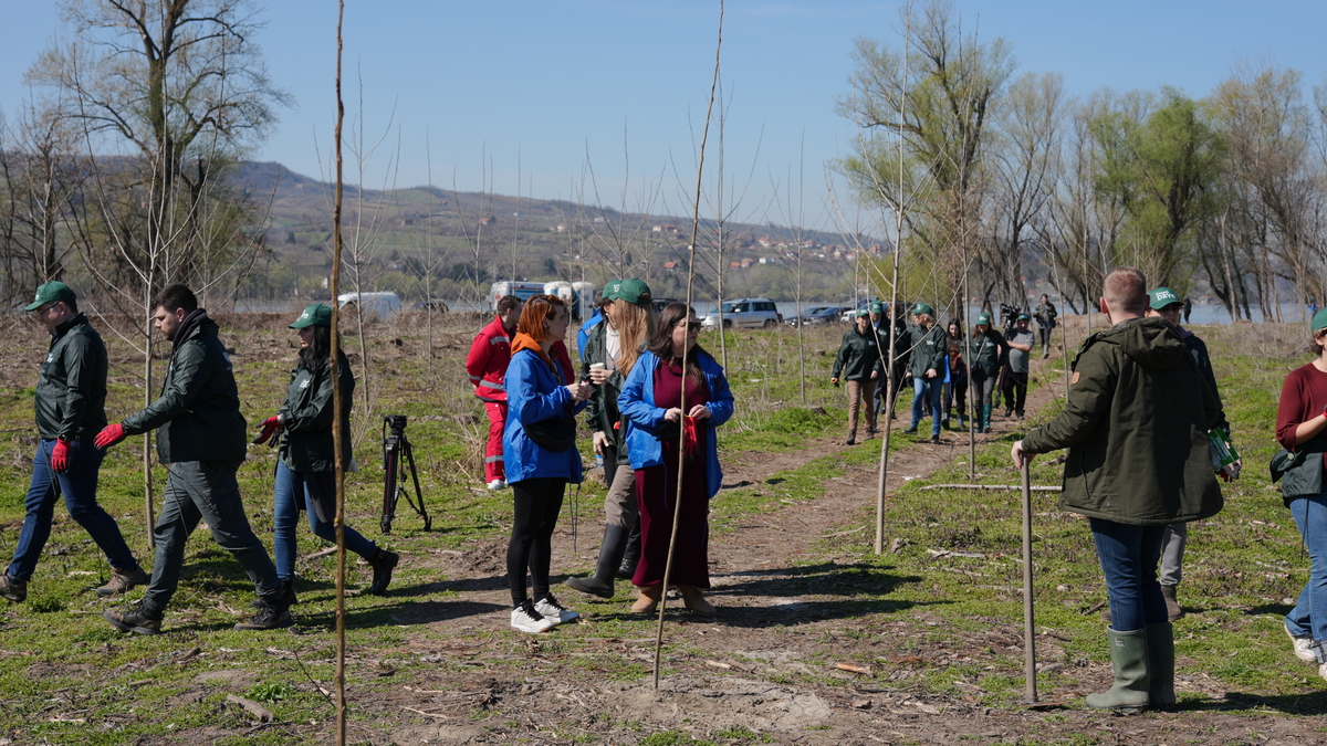 250321 Mladen Nikolic 890.jpg