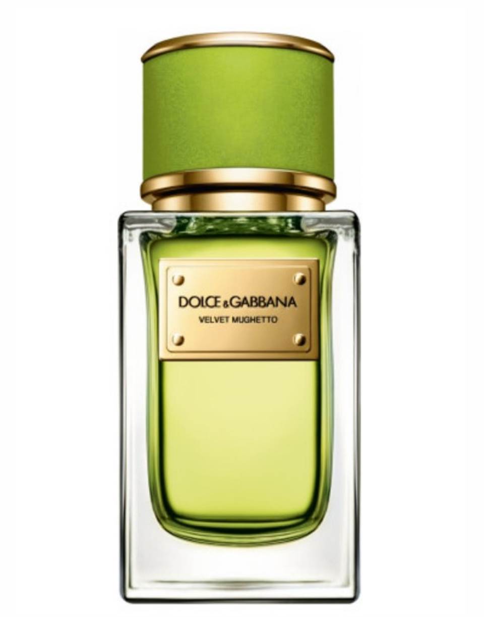 Velvet Mughetto Dolce & Gabbana